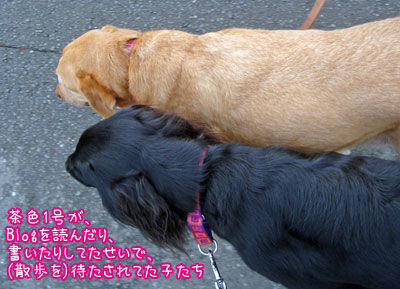 070913-2.jpg