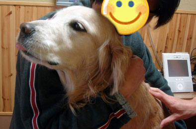 20071112.jpg