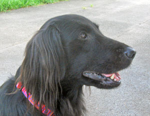 20071115.jpg