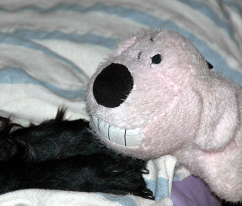 20071116.jpg