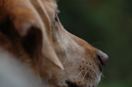 20071117.jpg