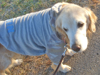 20071206.jpg