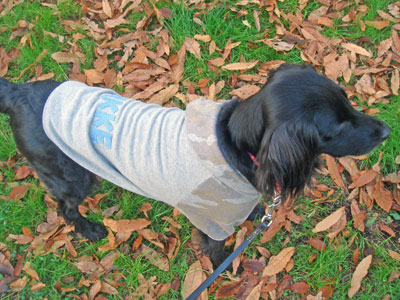 20071209.jpg