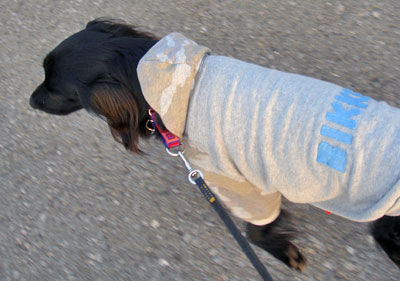 20071211.jpg