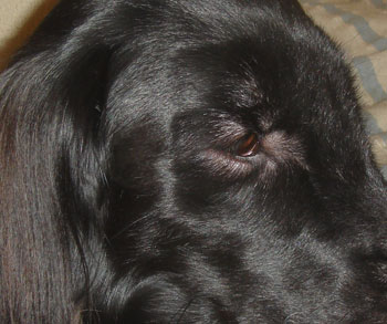 20080104-2.jpg