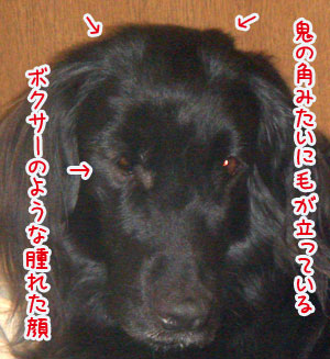 20080104.jpg