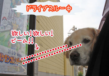 20080108.jpg