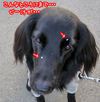20080111.jpg