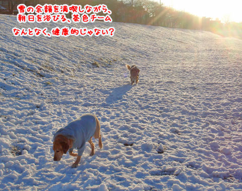 20080204-2.jpg