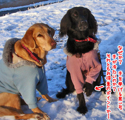 20080204.jpg