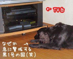 20080207.jpg