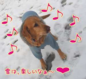 20080210.jpg