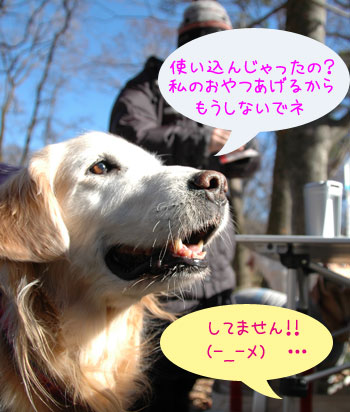20080213.jpg