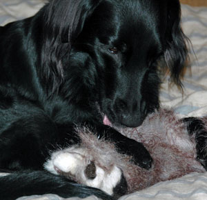 20080214-3.jpg