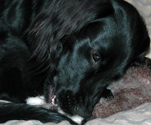 20080214-4.jpg