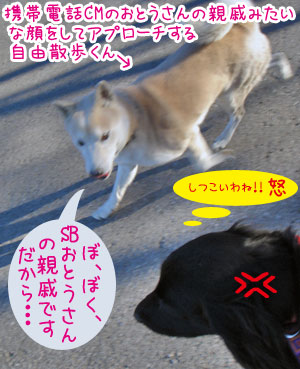 20080306.jpg