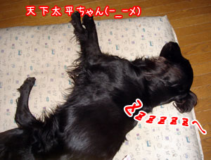 200803013.jpg