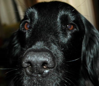 20080410.jpg