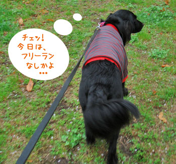 20080411.jpg