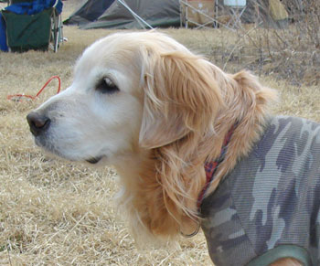 20080413.jpg