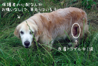 20080620.jpg