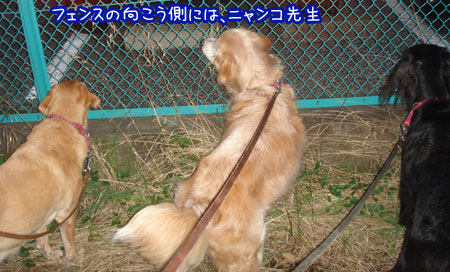 20080702.jpg
