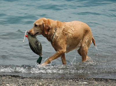 20080705.jpg