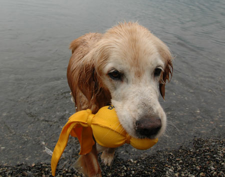 20080706.jpg