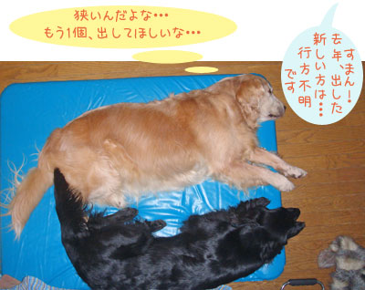 20080807.jpg