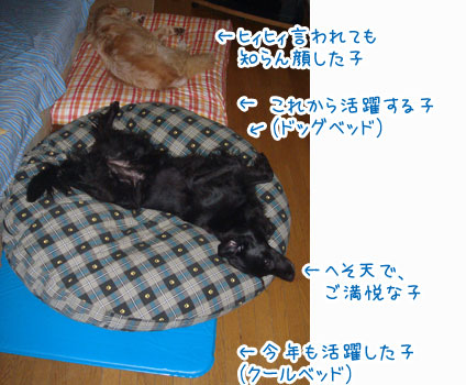 20081001.jpg