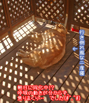 20081101.jpg