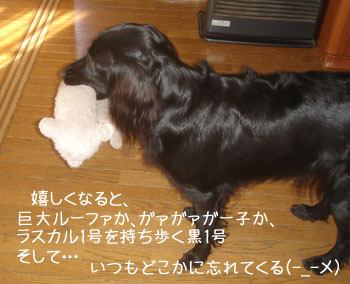 20081107.jpg
