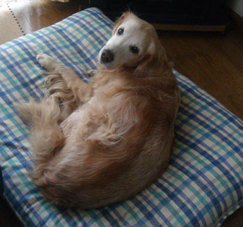 20081109.jpg
