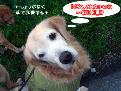 20081208.jpg