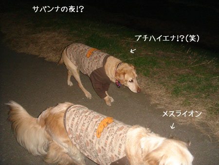 20090103.jpg