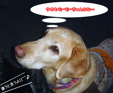 20090104.jpg