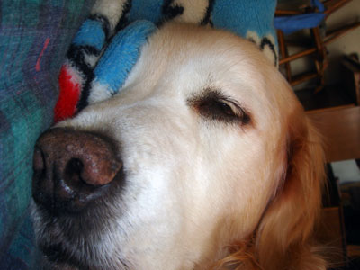 200901007.jpg
