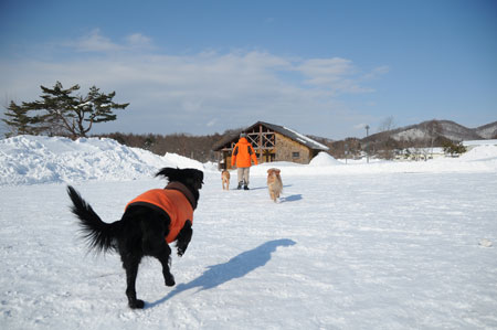20090125.jpg