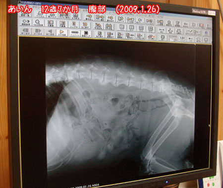 20090127-2.jpg