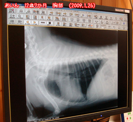 20090127-3.jpg