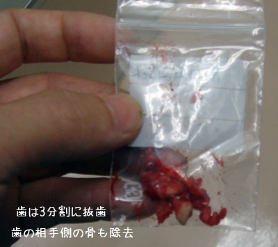20090131-04.jpg