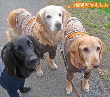 20090402.jpg