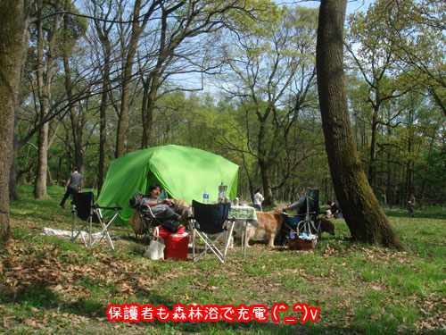 20090412-3.jpg