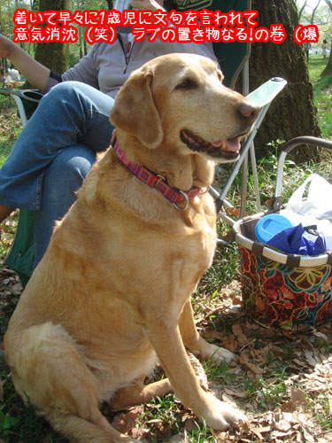 20090412-4.jpg