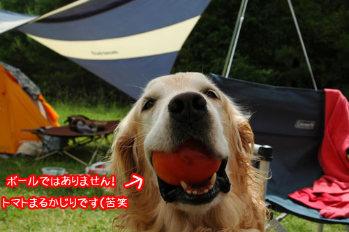 20090502.jpg
