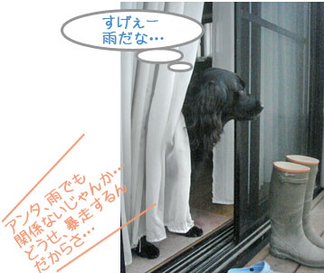 20090601.jpg