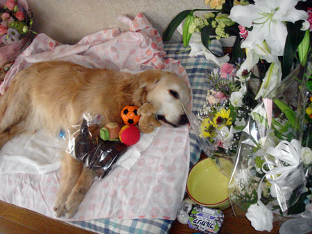 20090625-01.jpg
