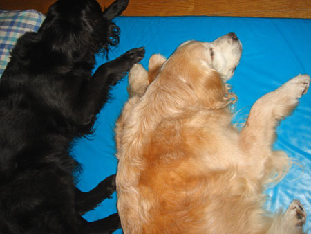 20090628-02.jpg