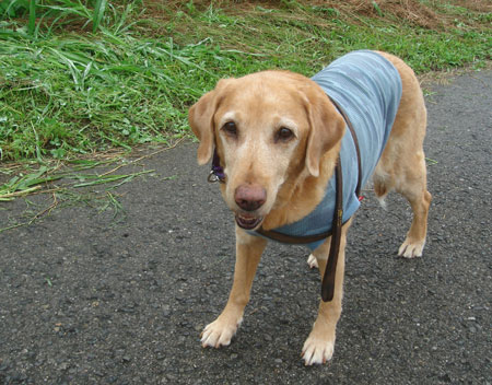 20090701-02.jpg