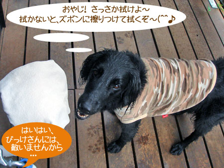 20090702-02.jpg